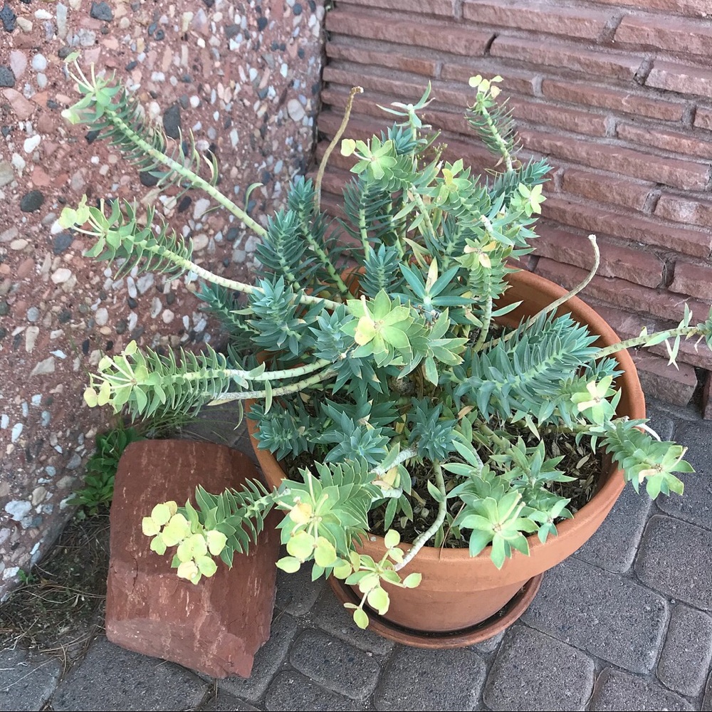 Meet your Posher, Detra